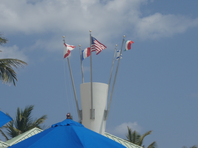 P4260030.JPG