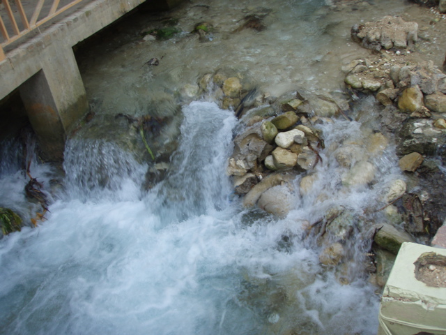 P4300195.JPG
