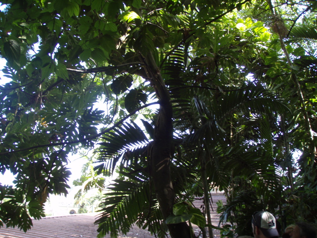 P4300200.JPG