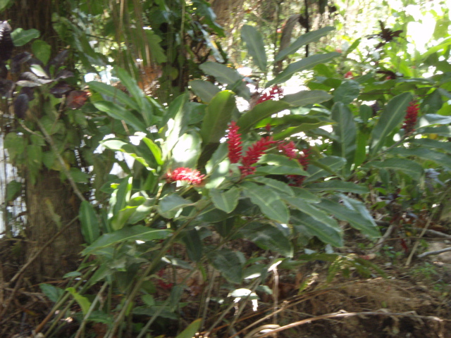 P4300205.JPG