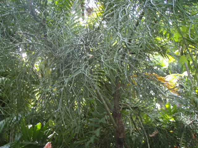 P4300209.JPG