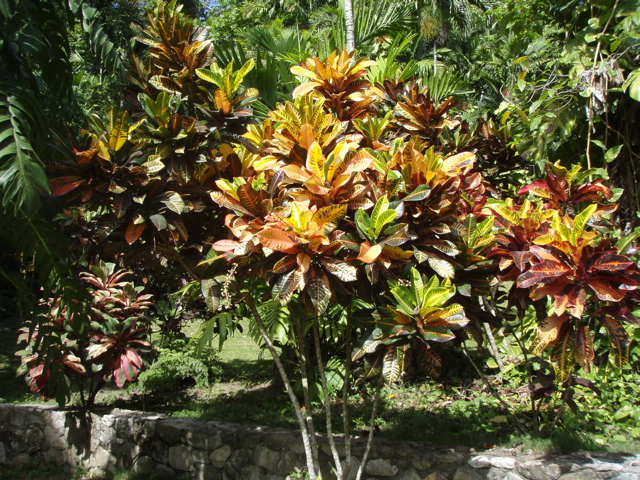 P4300210.JPG