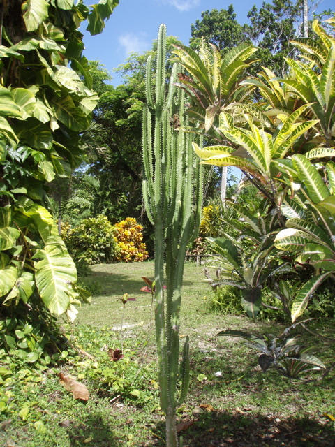 P4300211.JPG