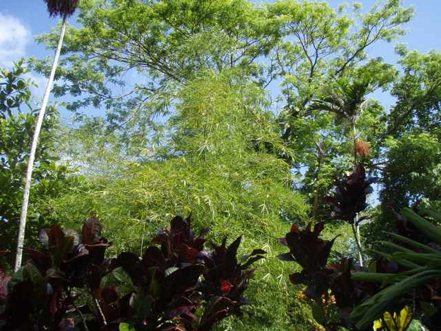 P4300212.JPG