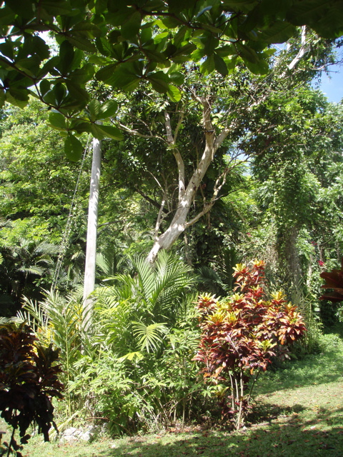 P4300216.JPG
