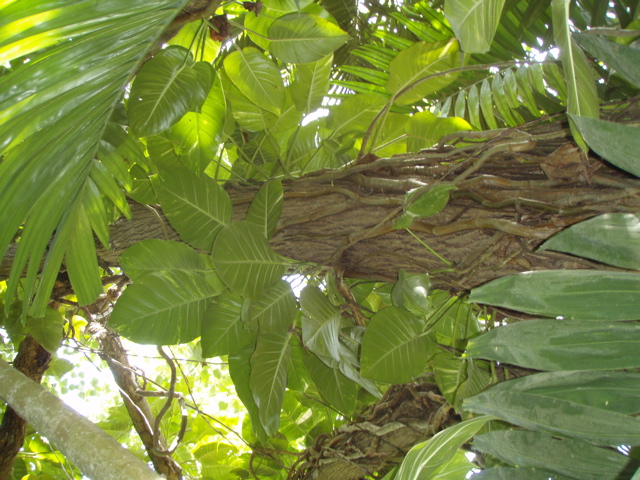 P4300220.JPG