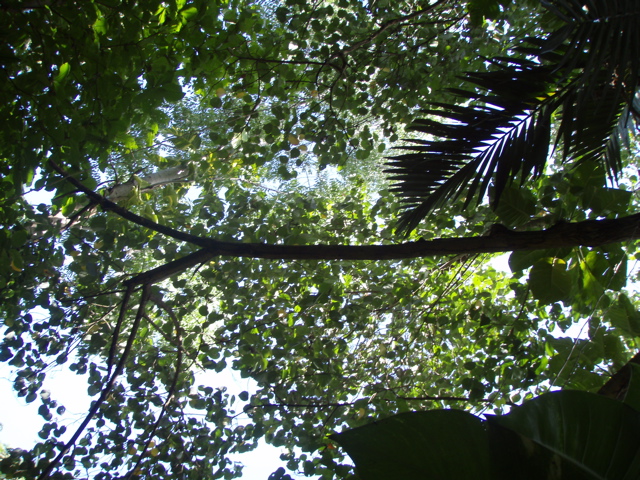 P4300221.JPG