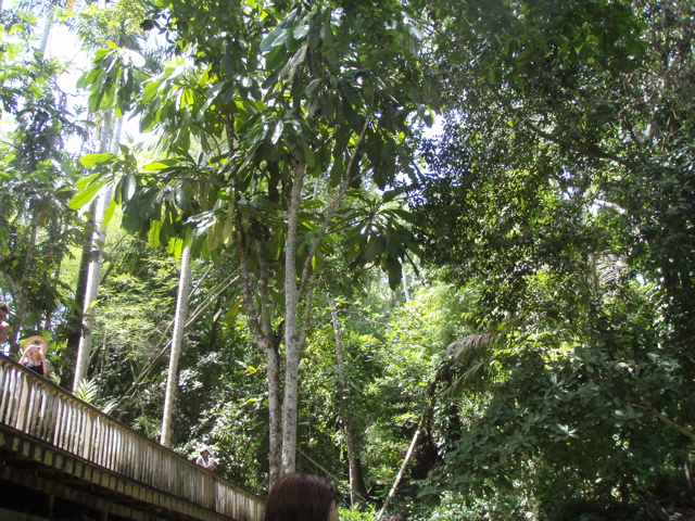 P4300247.JPG