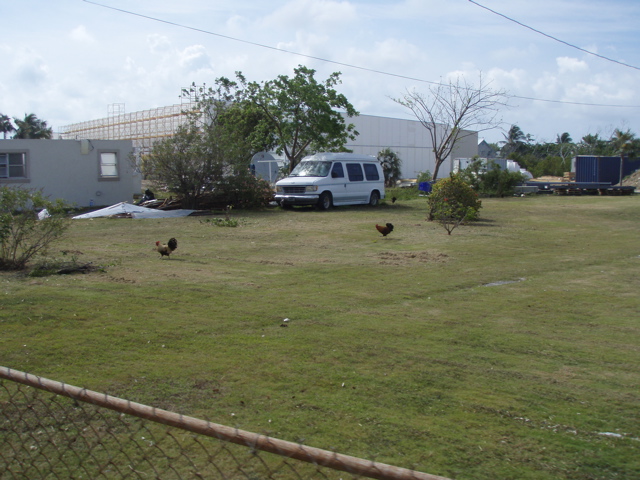 P5010334.JPG