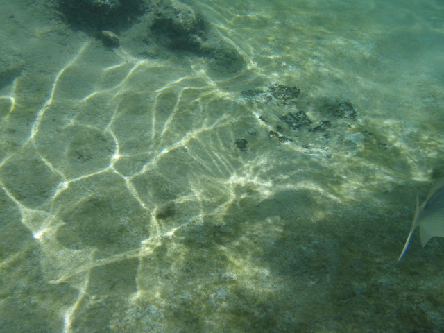 P5020005.JPG