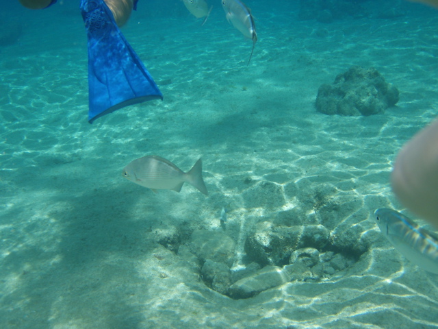 P5020009.JPG