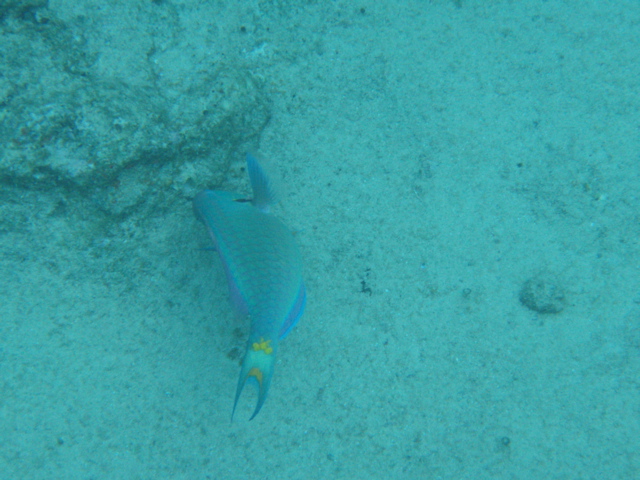 P5020016.JPG