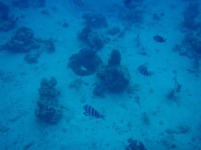 P5020026.JPG