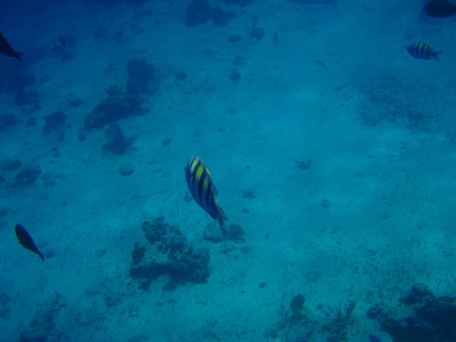 P5020027.JPG