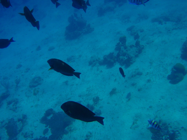 P5020028.JPG