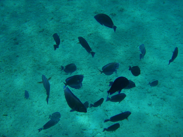 P5020037.JPG