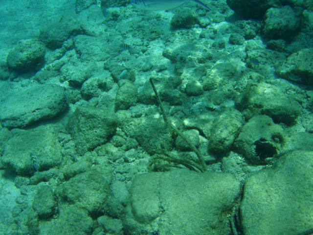 P5020041.JPG