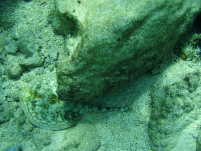P5020042.JPG