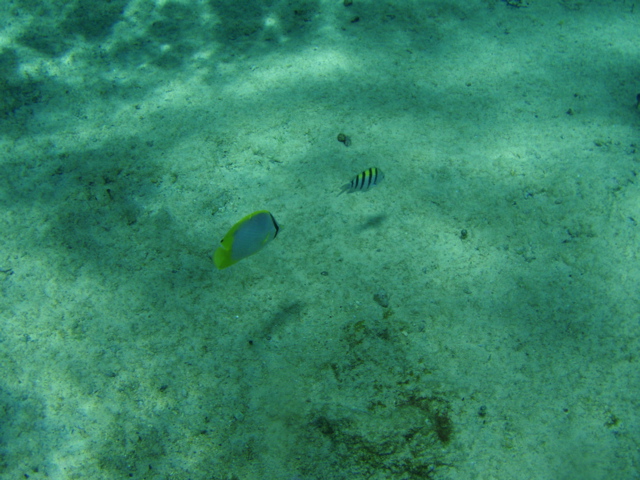 P5020043.JPG