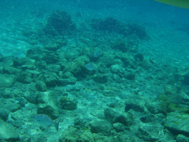 P5020045.JPG