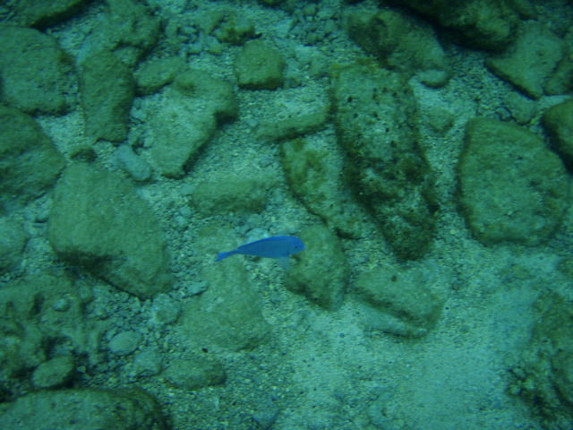 P5020046.JPG