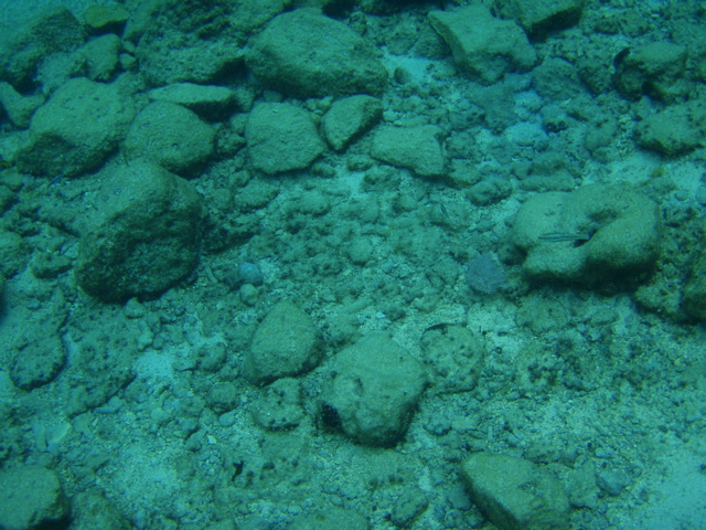 P5020047.JPG
