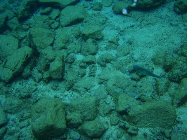 P5020048.JPG