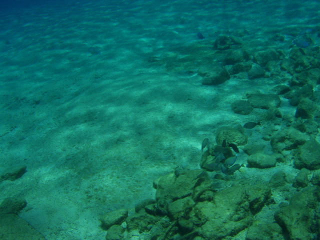 P5020052.JPG