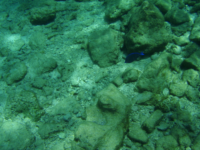 P5020053.JPG