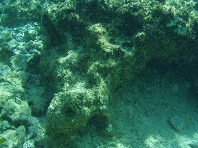 P5020054.JPG