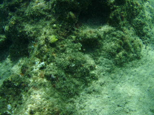 P5020057.JPG