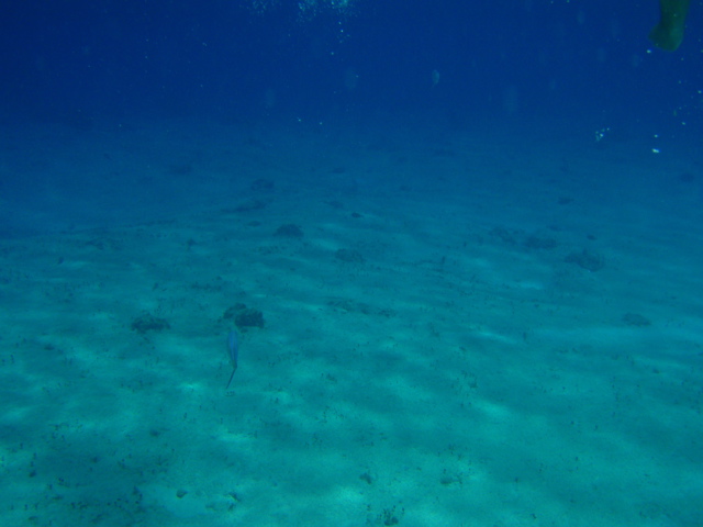 P5020060.JPG