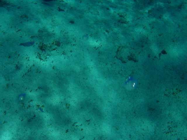 P5020062.JPG