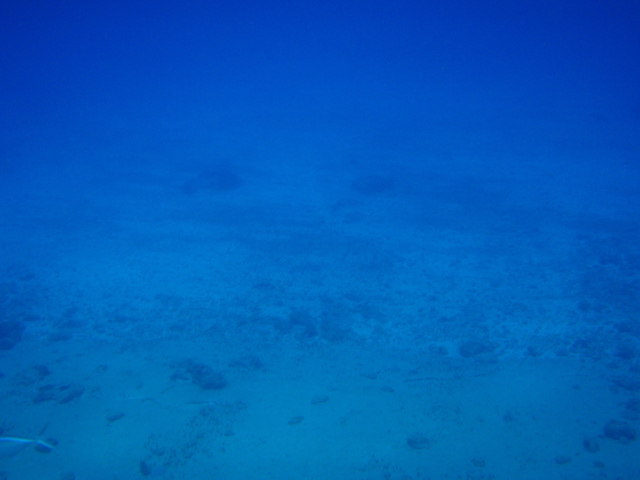 P5020068.JPG