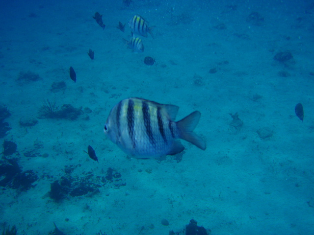 P5020088.JPG