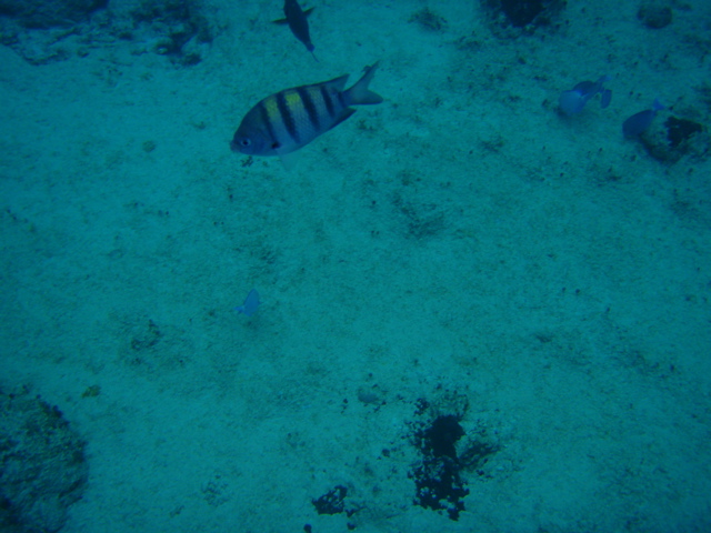 P5020091.JPG