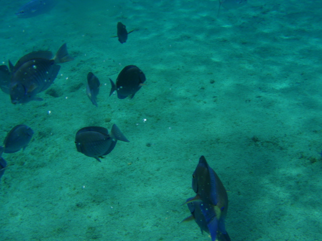 P5020098.JPG