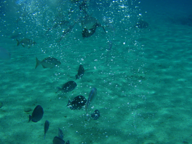 P5020099.JPG