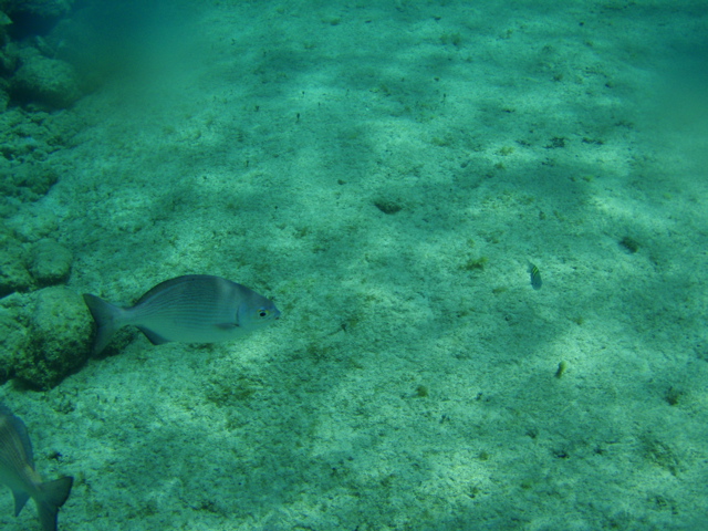 P5020105.JPG