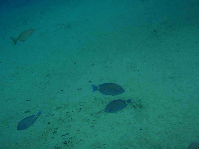 P5020110.JPG