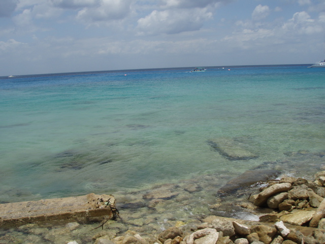 P5020111.JPG