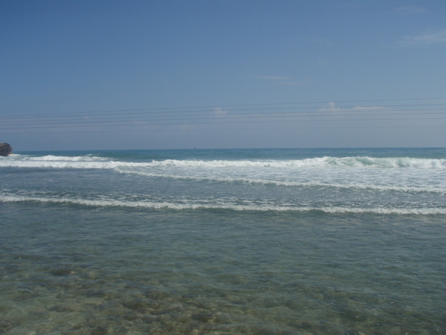 P4290102.JPG