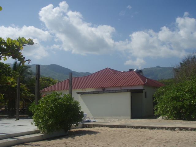 P4290107.JPG