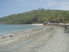 P4290140.JPG