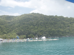 P4290149.JPG