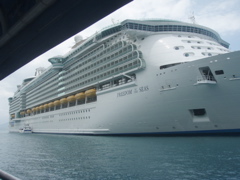 P4290151.JPG