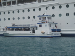 P4290152.JPG