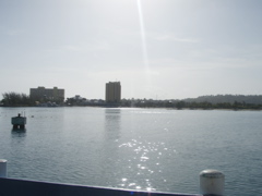 P4300180.JPG