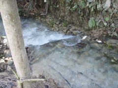 P4300194.JPG