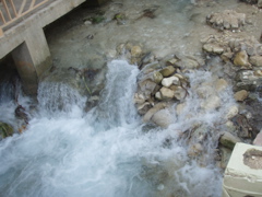 P4300195.JPG